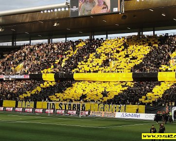 BSC Young Boys - Fenerbahçe Istanbul 28.07.2010