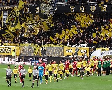 BSC Young Boys - FC Thun 29.07.2012