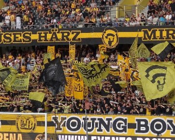 BSC Young Boys - FC Lugano 30.07.2016