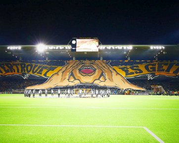BSC Young Boys - Sporting CP 15.02.2024